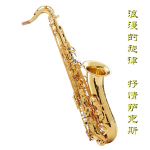 白丝校花污h自慰
